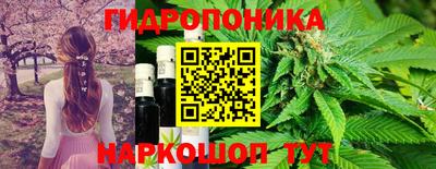 соль ск Нальчик