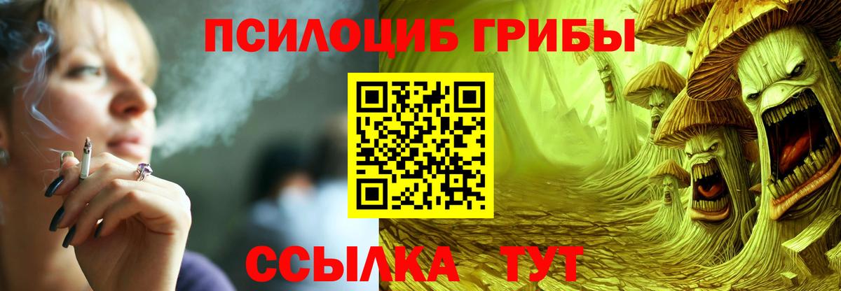 Галлюциногенные грибы Psilocybe  Вход с VPN  что такое   Саров 